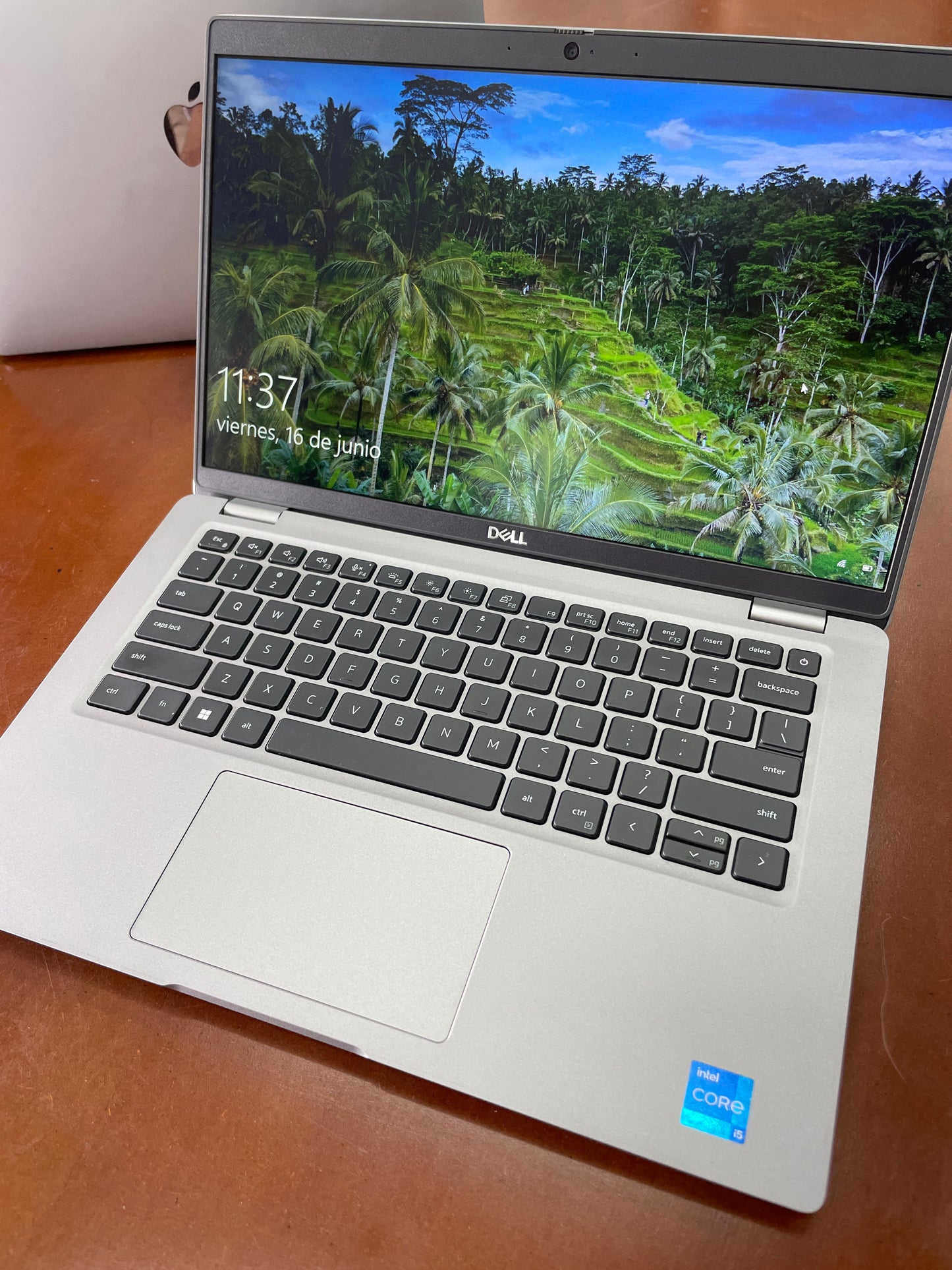Laptop Dell Latitude 5420 i5 11th